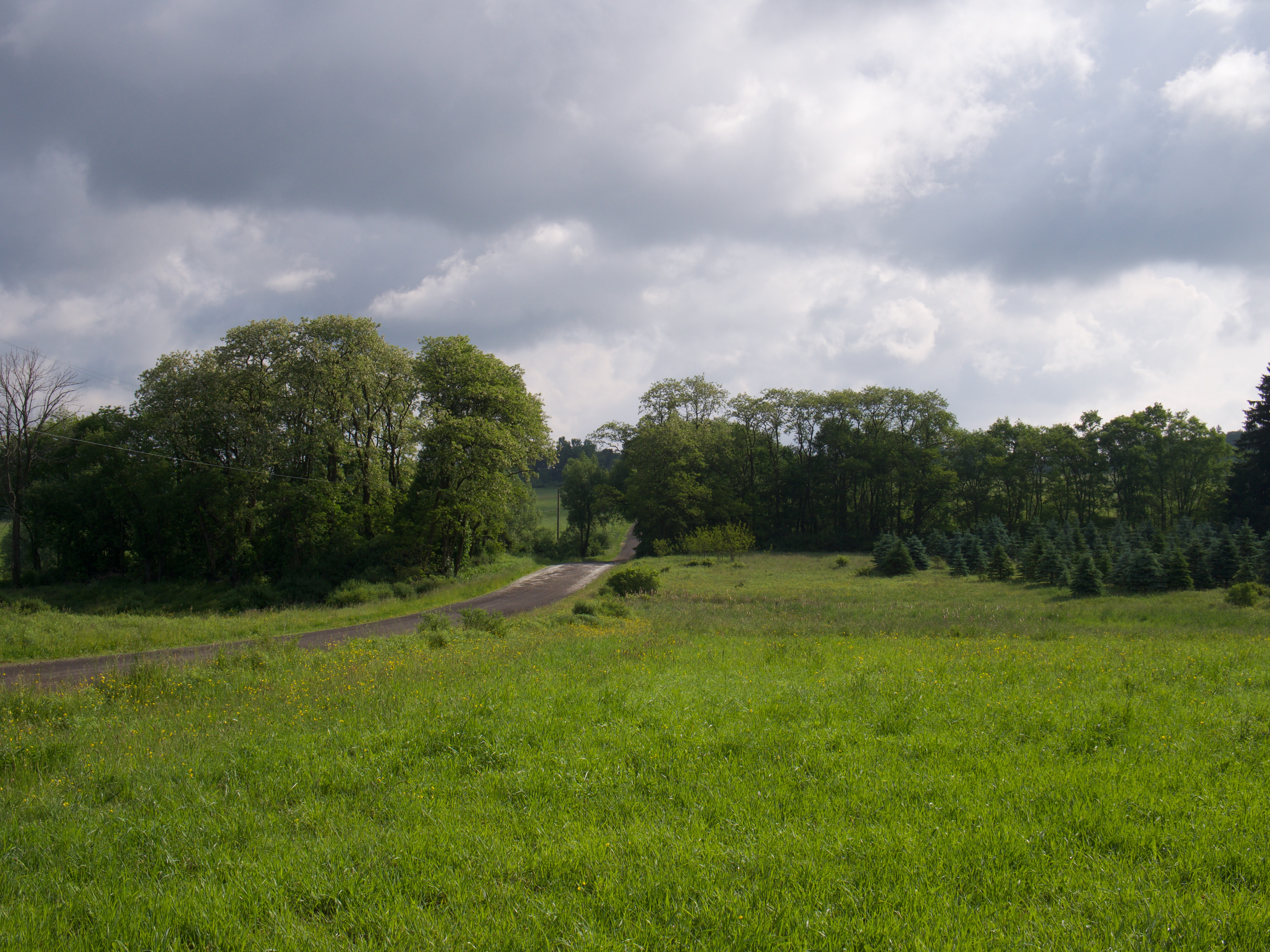 A narrow country road passes through a meadow with forest and farmland in the distance under a bright cloudy sky, on Huyck Road near Farmersville Station, NY, in May 2023 (Photo by Andrew Cashner)