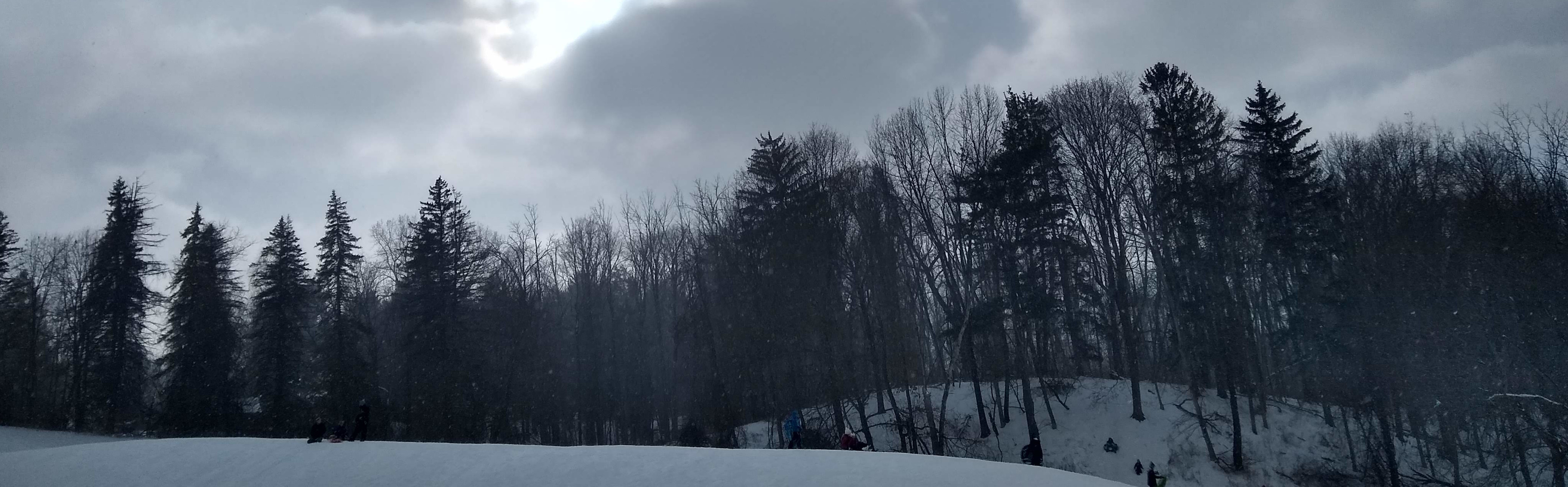 Light breaks through clouds over the edge of snowy woods at Mendon Ponds Park in Monroe County, NY, January 2022